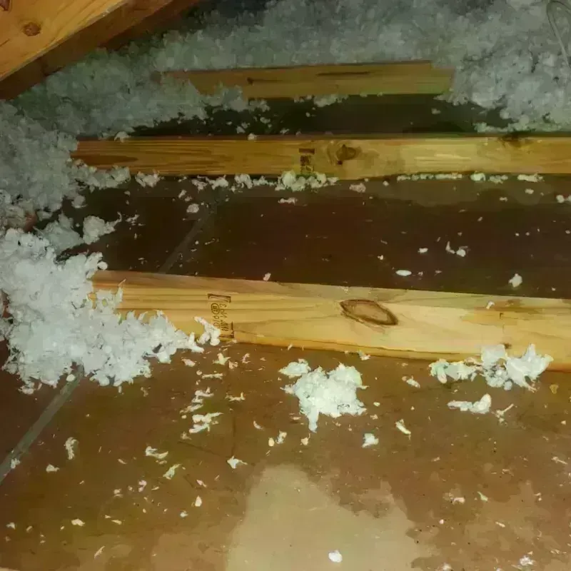 Attic Water Damage in Riverview, FL