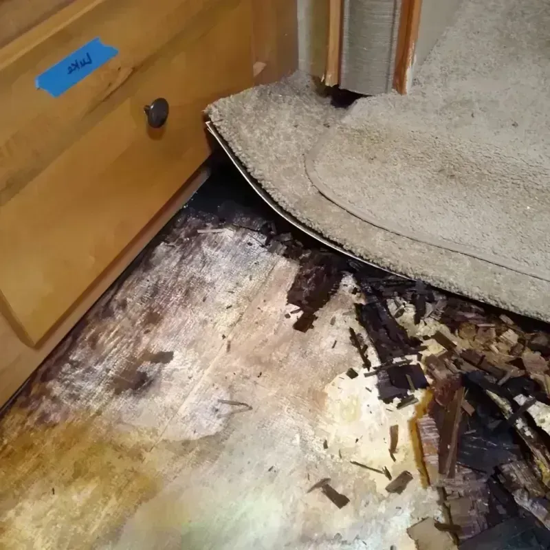 Best Wood Floor Water Damage Service in Riverview, FL